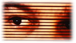 Houston Private Investigator